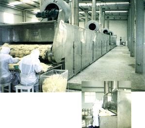 供應(yīng)果蔬保鮮設(shè)備 脫水蔬菜水果干燥機 使用壽命長_機械及行業(yè)設(shè)備_世界工廠網(wǎng)中國產(chǎn)品信息庫