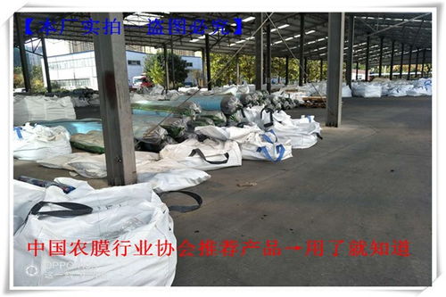 吉隆蘑菇大棚薄膜農業福音 聊城華塑大棚膜廠