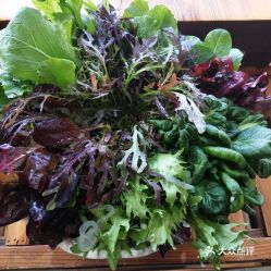 蘇尼特精品涮的有機蔬菜好不好吃 用戶評價口味怎么樣 呼和浩特美食有機蔬菜實拍圖片 大眾點評