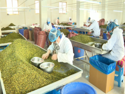 張掖市農(nóng)業(yè)農(nóng)村局