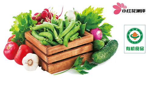 給寶寶吃有機食物值得嗎 用測評數據告訴你