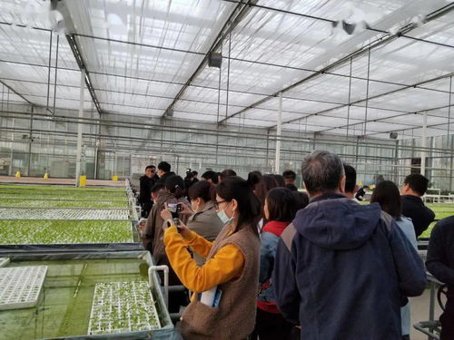 廊坊百姓的數字生活 重點網絡媒體集中采訪行走進永清