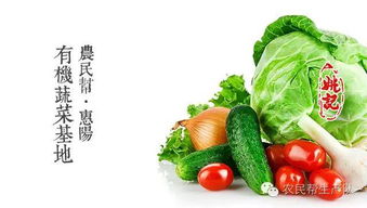 新鮮蔬菜配送到家