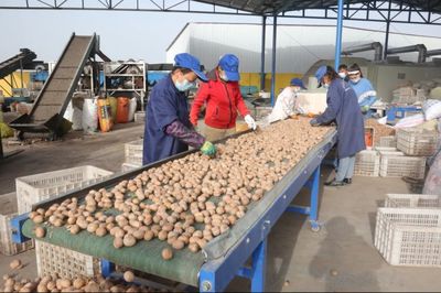 疏附縣農(nóng)村信用合作聯(lián)社發(fā)放2.1億元貸款，全力服務(wù)“三秋”生產(chǎn)助力蔬菜產(chǎn)業(yè)發(fā)展