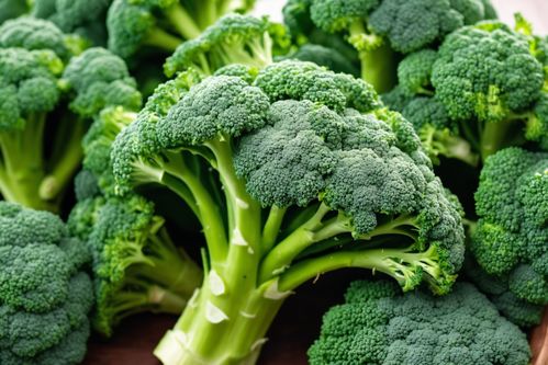 綠色西藍(lán)花 健康農(nóng)產(chǎn)品的視覺盛宴